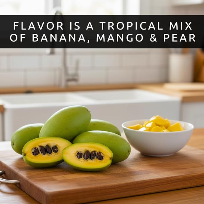 Paw Paw Tree Seeds for Planting | 6 Seeds | Edible Fruit Tree, Made in USA | Fun and Easy to Grow Your Own Food, Exotic Pawpaw Tree Seeds