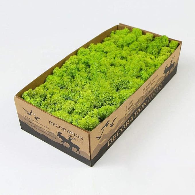 prefleur Preserved Reindeer Moss Natural Green DIY Kit Gardenning Art Wall Decor Florist Decor Easter Table Decor Wedding