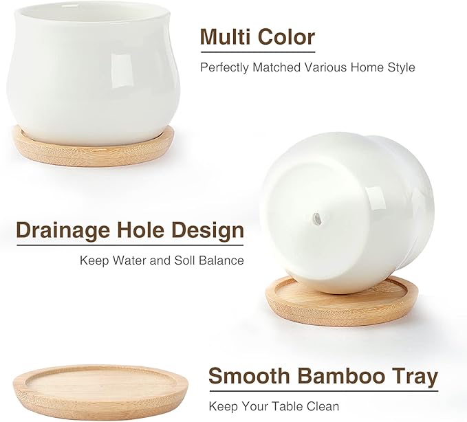 SHECIPIN 12 Pack Succulent Plant Pot, Mini 2.6 inch Ceramic Flower Planter Pot with Bamboo Tray, Small Pots for Plants, Plants Not Included （White, Black）