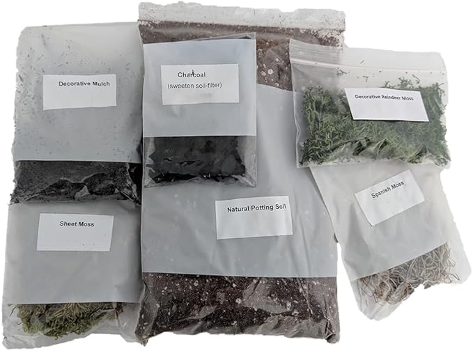 Hirt's Gardens Terrarium Kit - Create Your Own Living Terrarium