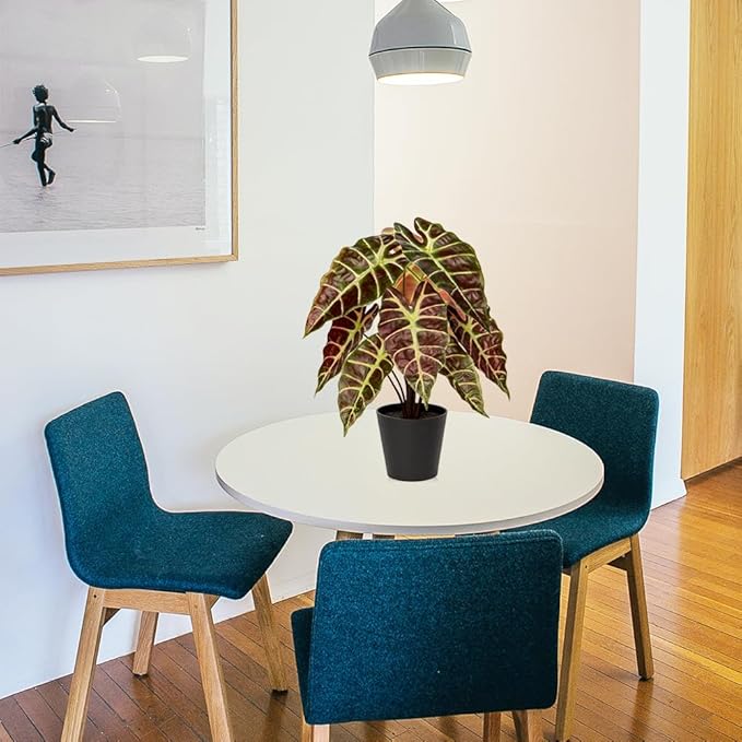 Briful Fake Plant Real Touch Artificial Alocasia Bambino Plant in Black Nursery Pot Faux Alocasia Polly Houseplant for Shelf Tabletop Centerpieces Farmhouse Home Décor, Purple Green