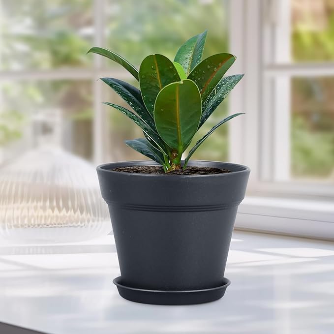 Meowell 4 inch Small Plastic Nursery Pots, 16 Pack Plant Pots for Indoor Outdoor Plants, Flower Pots with Drainage Holes and Saucers, Decorative Seedling Starter Planters for House Plants, Black