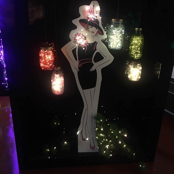 Pack 2 Indoor Battery-Operated Led String Lights with Timer,Mini LEDs Fairy Lights for Wedding Centerpiece Christmas Party Lighting Decorations,30 Count LEDs,10FT Silver Wire (Multi)