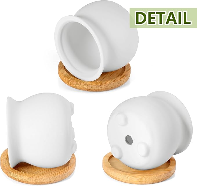 Remerry 2.5 Inch Mini White Succulent Planter Pots with Bamboo Tray Paint Your Own Ceramic Planters DIY Small Succulent Flower Plants Pot Containers Valentine Gifts for Plant Lover(Matte Style,24 Pcs)