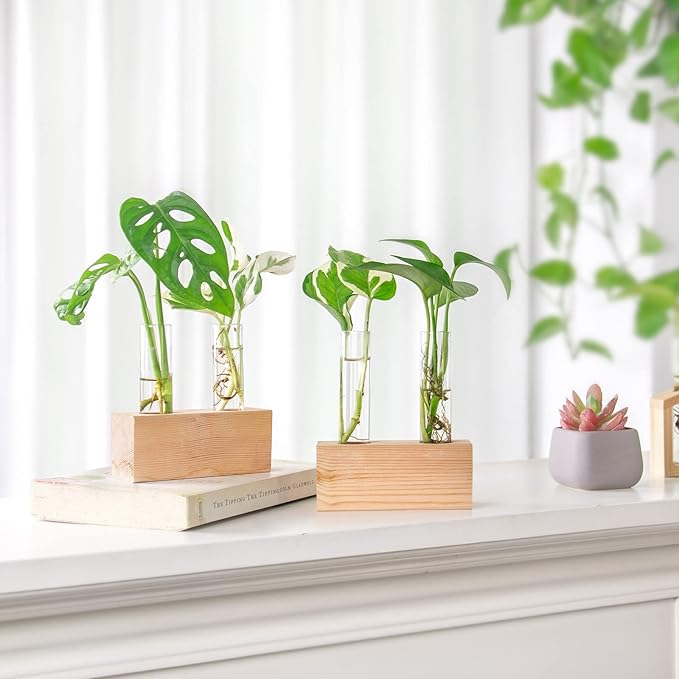 Propagation Station, Plants Terrarium, Plants Lover Gifts for Women,Plant Cutting Holder Home décor,Gifts for Women,House Warming New Home-4 Tubes-Beige