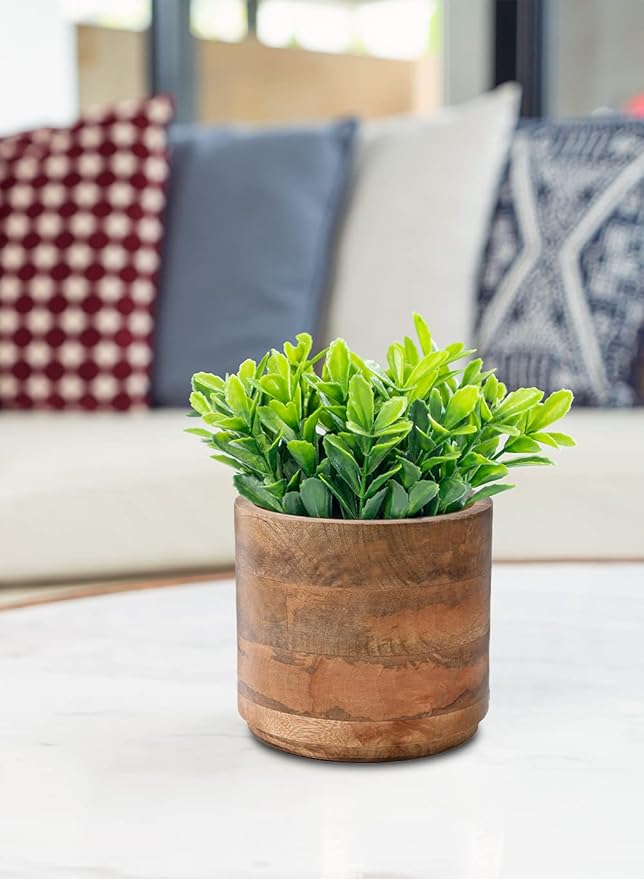 Serene Spaces Living Set of 6 Medium Mango Wood Cachepot, Natural Wooden Pot for Faux Flowers & Plants, Potted Indoor Plants, Home, Office, Restaurant Decor, Measures 6.5" Diameter & 6" Tall