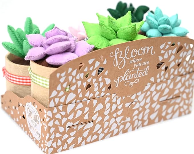 Felt Succulents Craft Kit. Make 6 Potted Colorful Plushies & A Display Rack. Mini Garden DIY Sewing Project, Activity Set, Arts & Crafts Supplies - Great Gift for Teens and Adults