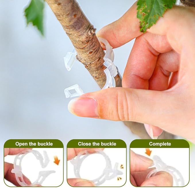 2026 Upgrade Thickened Secured Plastic Plant Clip,Reusable Plant Support Clips Fixing Clips for Climbing Plants,Garden Climbing Vines Fixing Clip for Tomato Grape Vine Flowers Vegetables (100, Black)