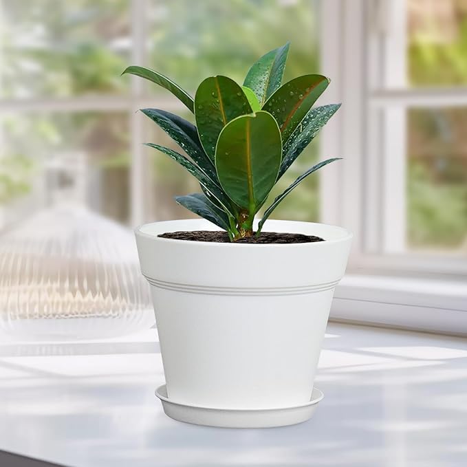 Meowell 4 inch Small Plastic Nursery Pots, 16 Pack Plant Pots for Indoor Outdoor Plants, Flower Pots with Drainage Holes and Saucers, Decorative Seedling Starter Planters for House Plants, White