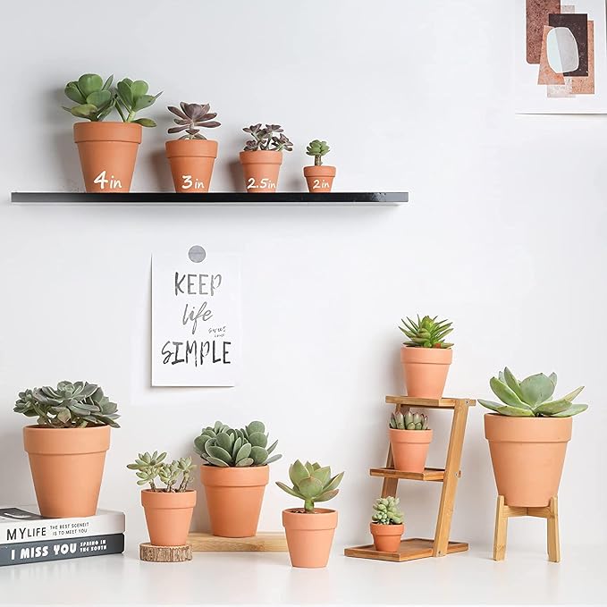 HERDUK 3 Inch Terracotta Starter Pots with Saucers – Clay Planting System for Seedlings, Cuttings & Succulents, Reliable Drainage for Healthy Roots, Ideal for Beginners & Small Spaces