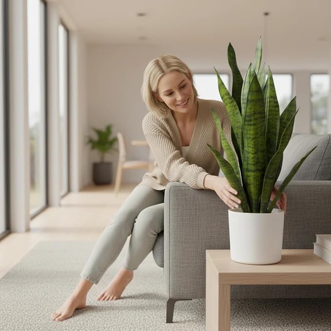 Fake Snake Plant, 27in Fake Plant with White Pot Realistic Leaves, Low Maintenance Artificial Potted Plants for Indoor Decor, No Watering Needed, Perfect for Home, Office & Pet Areas