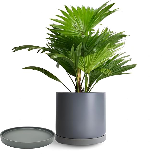 4 Pack Ceramic Plant Saucer Pot Tray 4 Inch, Planter Saucers 4 5 6 7 8 9 10 11 12 13 Inch for Indoors Outdoor, Durable Sturdy Flower Drainage drip Water Tray for Glazed Pots Base ((4.5"/4.1"-Grey)