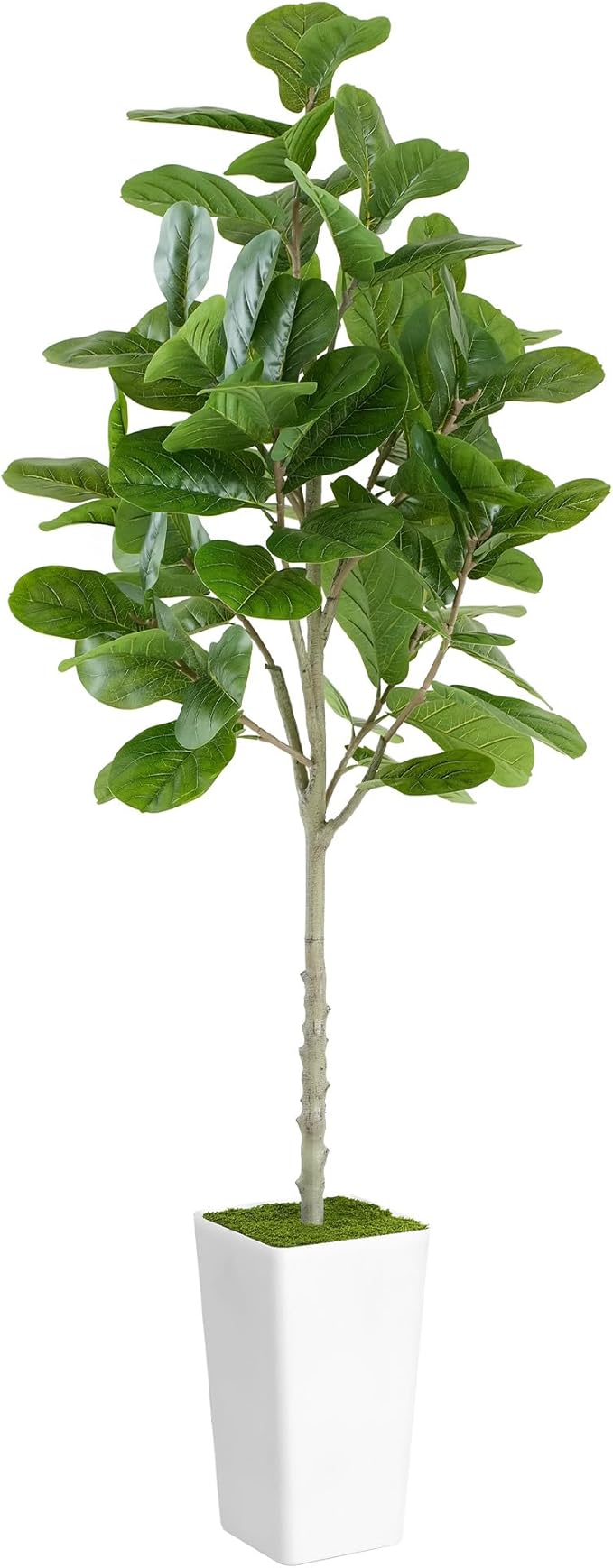 ProDeco Artificial Fiddle Leaf Fig Tree 6ft - Realistic Tall Fake Plants for Office Home Living Room Bedroom Decor Indoor Outdoor - Green Large Silk Faux Floor Plant with Pot