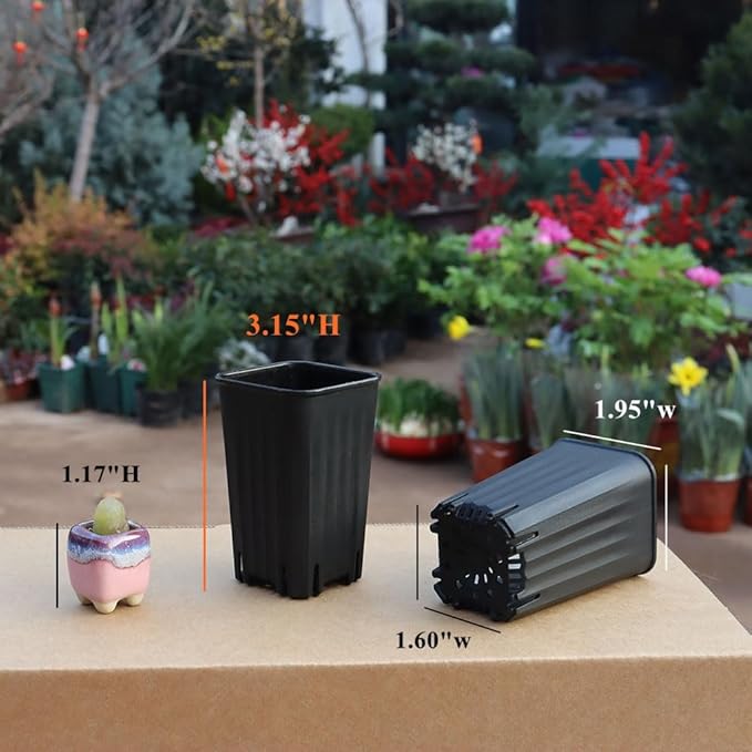 BangQiao 180 Pack 1.95 Inch Tiny Black Plastic Square Nursery and Seedling Pot, Mini Deep Transplant Seed Starter Planter with Drain Hole for Germination, Herb, Succulent