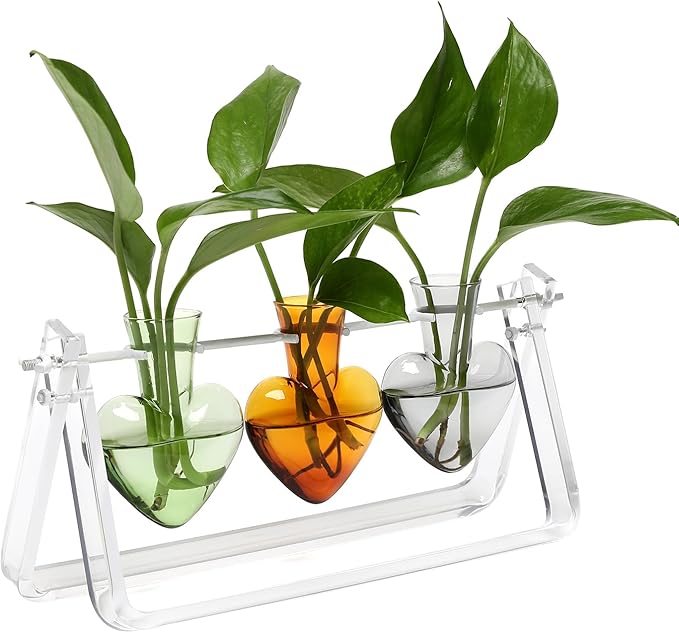 CYZglass Clear Plant Terrarium Propagation Stations with Acrylic Stand Birthday Gifts for Women Office Home Decor