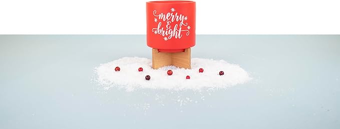 Ceramic Holiday Planter Pot, Merry & Bright Design, Red & White, Holds 4" House Plant or Succulent, Festive Winter Christmas Home Décor with Wood Stand