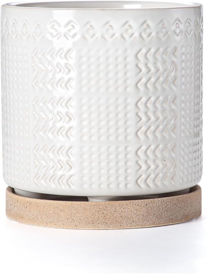 POITONRU Indoor-Outdoor Ceramic Plant Pots: 6 Inch Flower Pots with Drainage Hole & Saucer - Decorative Ceramic Pots for Plants Herbs Succulents - Home Garden Patio Lawn Use