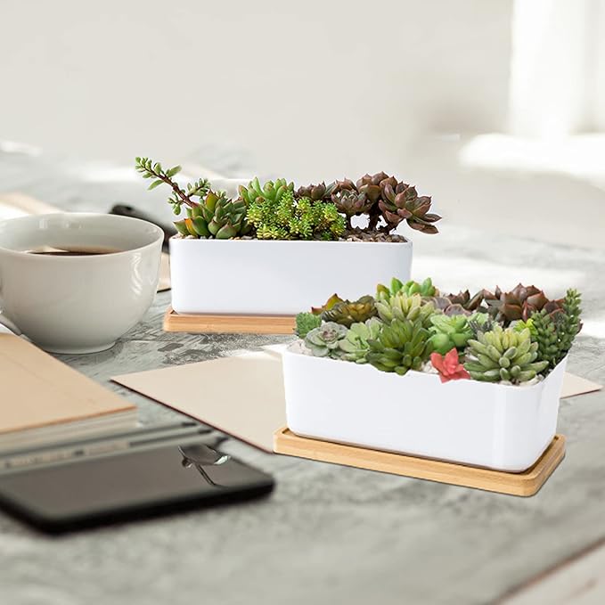 ARVINKEY White Ceramic Succulent Planters, Indoor and Outdoor Succulent Planters, Set of 2 Small Cactus Containers, Bonsai Pots, Flower Pots with Drainage Hole and Bamboo Bowl (No Plant)
