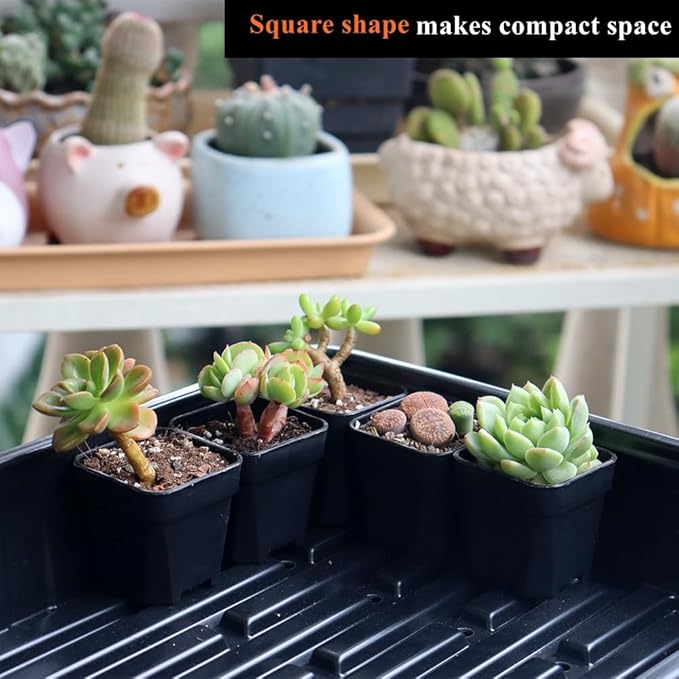 BangQiao 200 Pack 1.95 Inch Tiny Black Plastic Square Nursery and Seedling Pot, Mini Transplant Seed Starter Planter with Drain Hole for Germination, Herb, Succulent