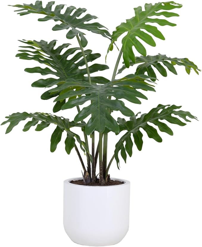 CG Hunter Faux Philodendron Tree, Premium Artificial Indoor Tree Stands 3-ft Tall, Lifelike-Leaves & Hand Painted Trunk, Pot Included