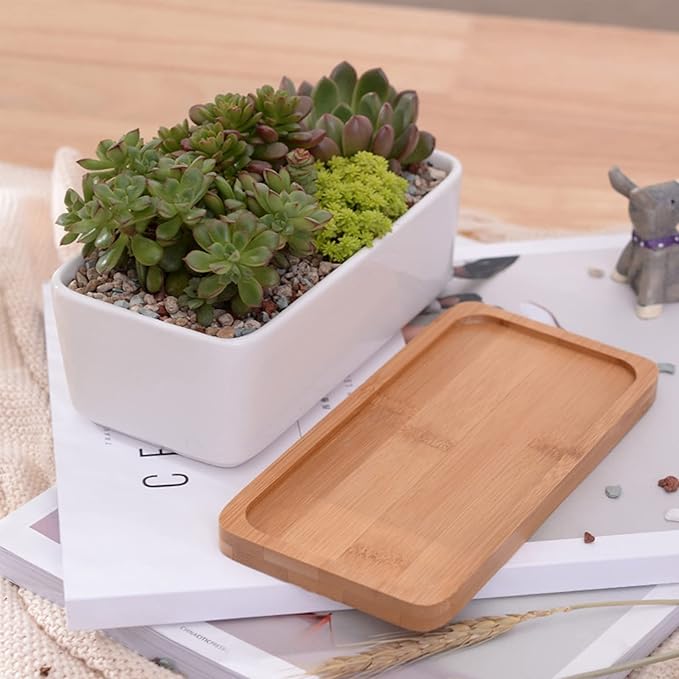 ARVINKEY White Ceramic Succulent Plant Pots, 1 Rectangular Flower Pot + 1 Round Planter, Set of 2 Small Cactus Container, Bonsai Pots, Succulent Pots with Drainage Hole& Bamboo Tray (No Plant)