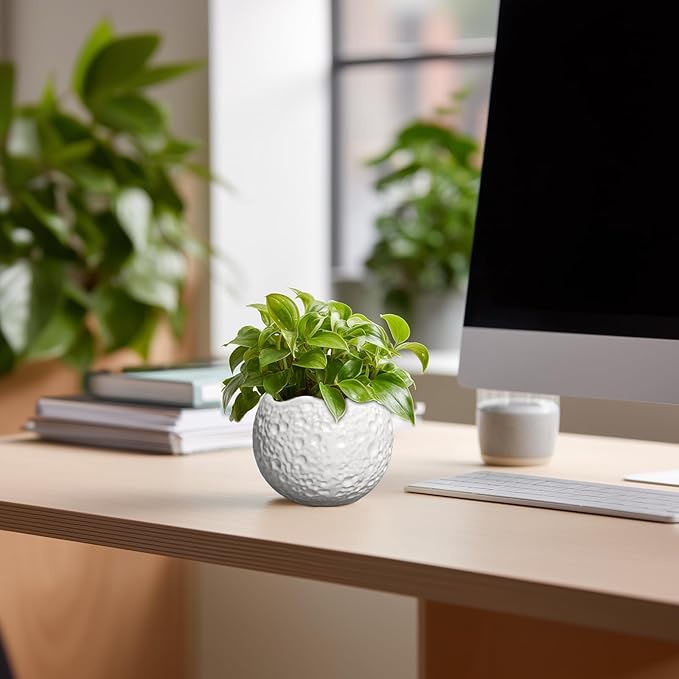 Thirtypot 4 inch Plant Pots - Ceramic Pots for Plants with Drainage Hole, Small Planter for Indoor Outdoor, Unique Succulent Pot, Decorative Modern Round Planter, Desk Decor, Plant Lover Gifts, White