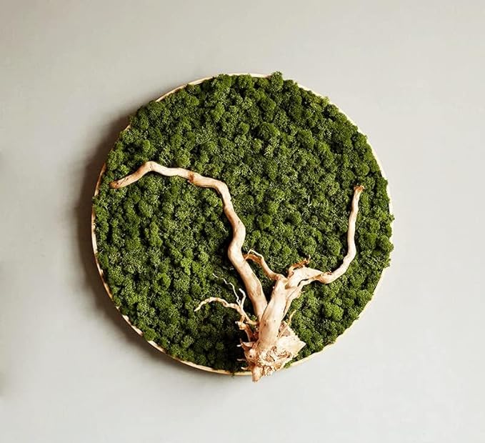 prefleur Preserved Reindeer Moss Natural Green DIY Kit Gardenning Art Wall Decor Florist Decor Easter Table Decor Wedding