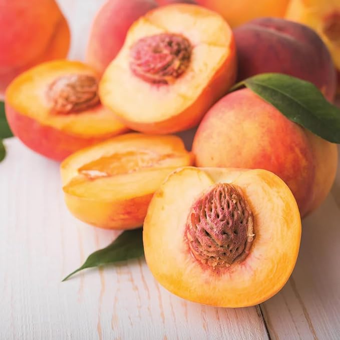 5+ Organic Peach Fruit Tree Seeds for Planting-Peaches Seeds Made in USA Seed Non-GMO Heirloom for Garden Outdoor