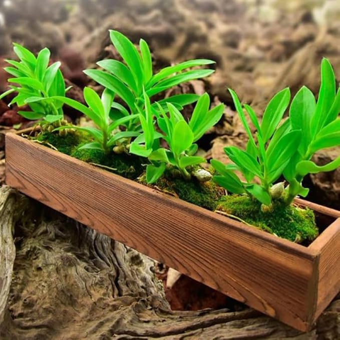 Rustic Wooden Flower Planter Box 11.81 Inch Anti-Rotten Cedar Wood Window Box for Gardening Balcony Patio Outdoor Use