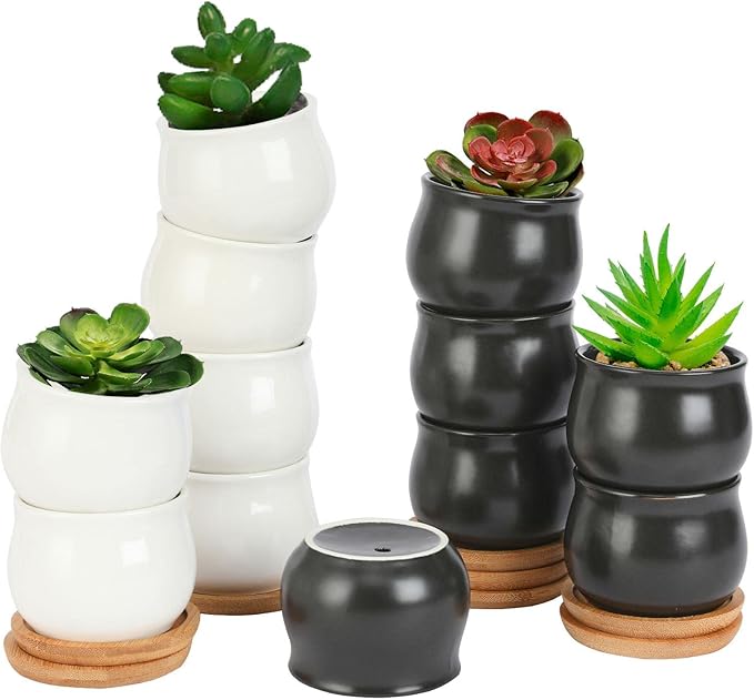 SHECIPIN 12 Pack Succulent Plant Pot, Mini 2.6 inch Ceramic Flower Planter Pot with Bamboo Tray, Small Pots for Plants, Plants Not Included （White, Black）