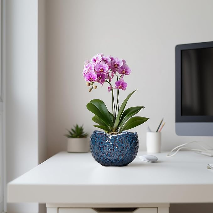 Thirtypot 6 Inch Plant Pot - Ceramic Pots for Plants with Drainage Hole, Round Orchid Pot, Unique Planter for Indoor Outdoor, Modern Decorative Flower Pots, Room Decor, Plant Lovers Gifts, Retro Blue