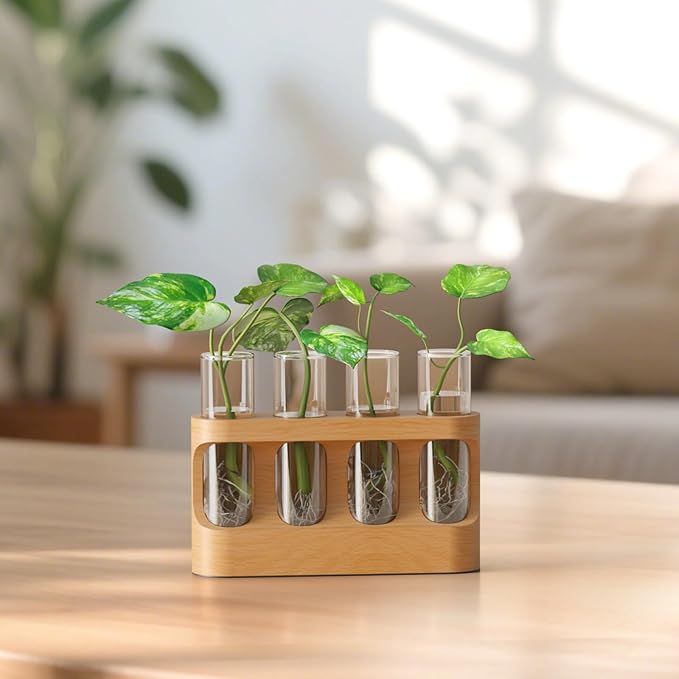 Giunn Plant Propagation Station with 9-Speed Adjustable LED Lights, Wooden Stand, 4 Glass Test Tubes for Hydroponic Plants, Unique Gift for Plant Lovers