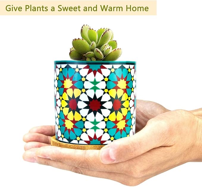 Ascrafter 6 Pack Mandala Succulent Plant Pot with Bamboo Trays, Ceramic Multicolored Succulent Container Planter Pot for Small Plant