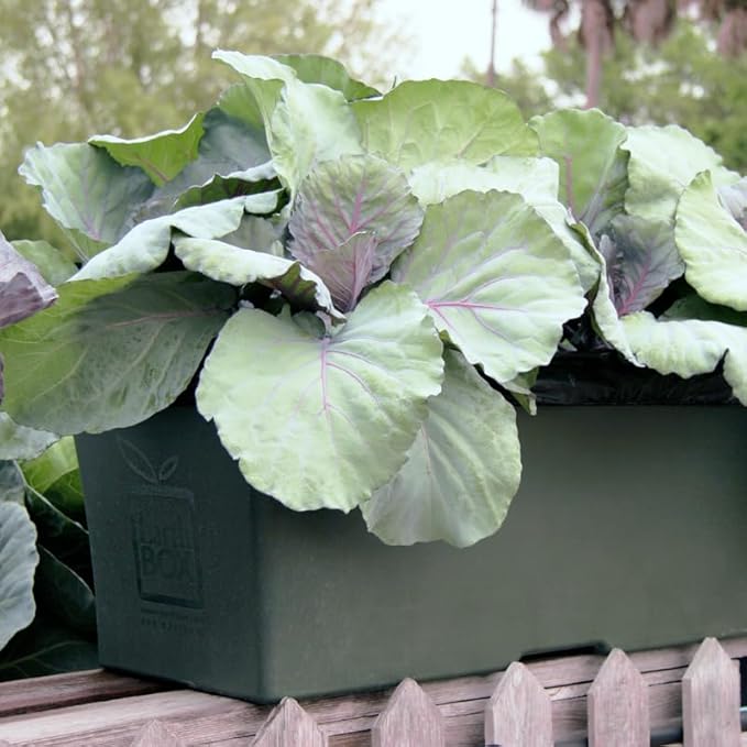 EarthBox Raised Garden Bed with Legs – Elevated Self Watering Planter Box with Wheels, Storage Shelf, Premium Plant Food, Easy Assembly, Made in USA, Dark Green