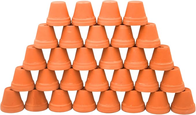 Yuvori Mini Terracotta Pots – Small Clay Flower Pots for Succulents, Cactus, DIY Crafts, Fairy Garden, School Projects, Mini Planters, Set of 30 (Classic Cylinder, 1.4 Inch)