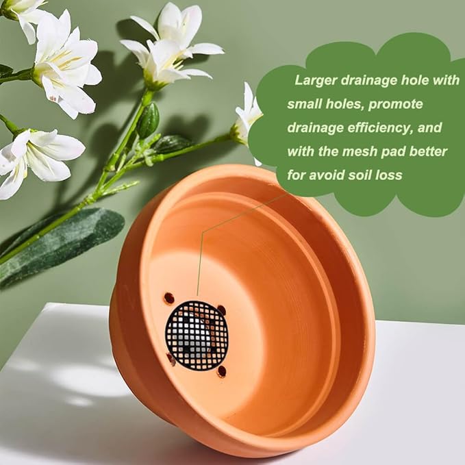 5 Inch Shallow Terracotta Pot for Succulent - 6 Pcs Small Shallow Plant Pots with Drainage Hole and Saucer, Clay Plant Pottery Pots for Cactus Succulent and Other Indoor Outdoor Plants