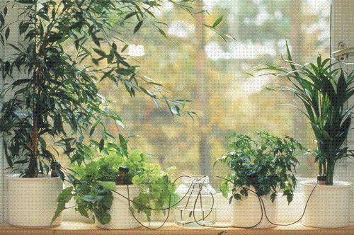Blumat Classic Self-Watering Stakes - Automatic Drip Irrigation System for Indoor Plant Watering & Outdoor - Water Drip Solution for Potted Plants - Slow Release Stakes, 10 Pack, wo Adapter