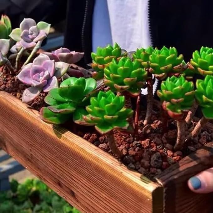 Rustic Wooden Flower Planter Box 11.81 Inch Anti-Rotten Cedar Wood Window Box for Gardening Balcony Patio Outdoor Use