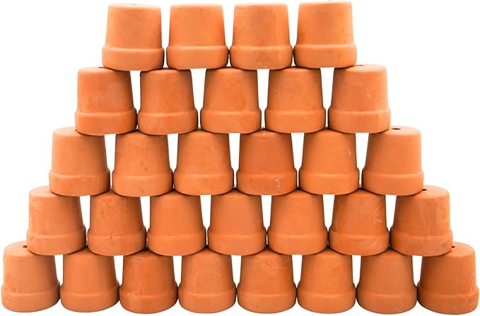 Yuvori Mini Terracotta Pots – Small Clay Flower Pots for Succulents, Cactus, DIY Crafts, Fairy Garden, School Projects, Mini Planters, Set of 30 (Straight Cylinder, 1.2 Inch)