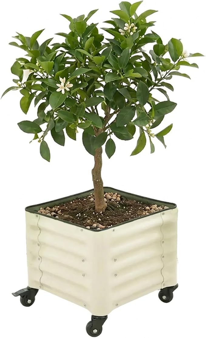 Vego garden Classic Rolling Citrus Tree Planter– 1.75' Mobile Metal Raised Garden Bed for Patio, Deck, Balcony – Deep Planting Space, Durable & Easy to Move (Pearl White, 1.75'X1.75')