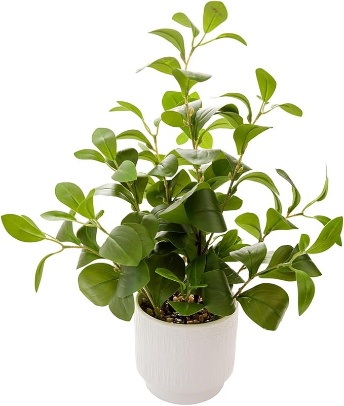 Ewtogift 19'' Artificial Ficus Plant in White Textured Ceramic Pot Realistic Faux Greenery with Lifelike Leaves Fake Plants for Indoor Home Office Bathroom Shelf Desk Tabletop Decor