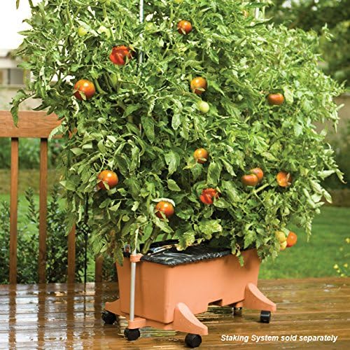 EarthBox Raised Garden Bed with Legs – Elevated Self Watering Planter Box with Wheels, Storage Shelf, Premium Plant Food, Easy Assembly, Made in USA, Terra