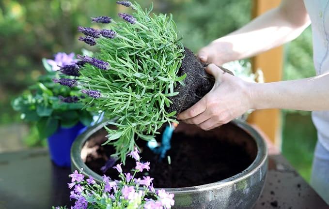 Gardenera Premium Moisture Control Potting Mix - Get The Perfect Balance of Moisture and Nutrients for Your Plants! - 10 Quart