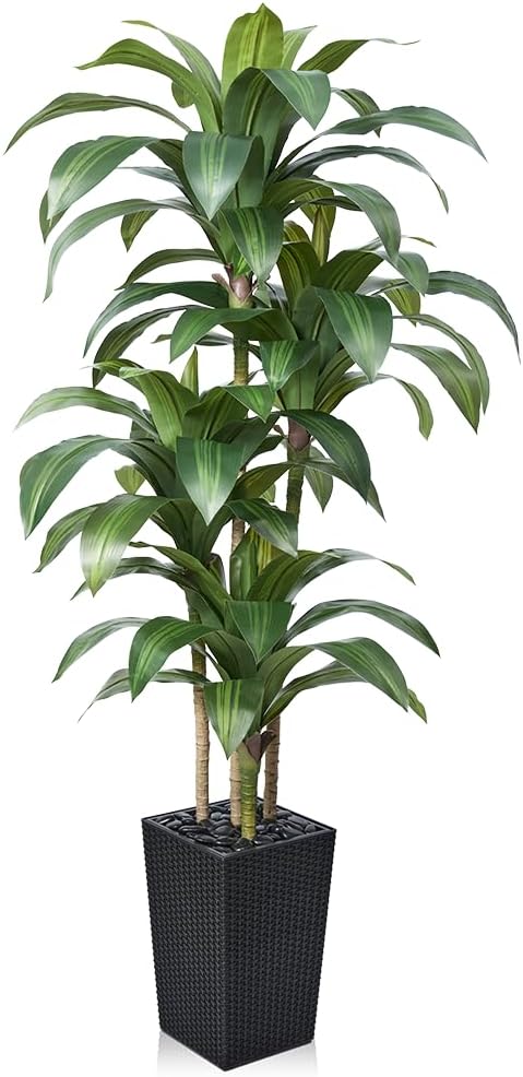 VeriNatural Artificial Dracaena Tree 6FT - Fake Tree with Black Taper Planter & Pebbles - UV Resistant Faux Yucca Tropical Plant - Artificial Trees for Home Office Living Room Decor Indoor Outdoor