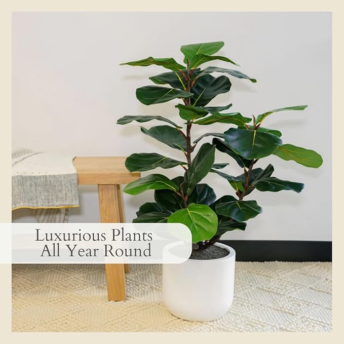 CG Hunter Faux Fig Tree, Premium Artificial Indoor Tree Stands 3-ft Tall, Lifelike-Leaves & Hand Painted Trunk, Pot Included