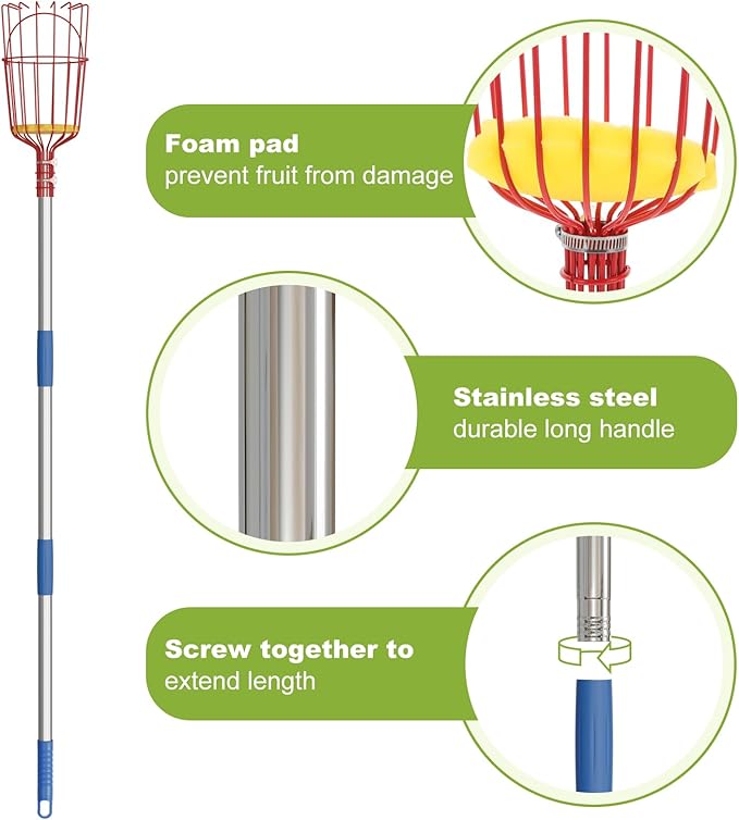 Fruit Picker Tool 10 ft Long, Extendable Fruit Picker Pole with Basket Telescoping, Apple Fruit Tree Picker Pole with Stainless Steel Pole for Mango, Orange, Fig, Lemon