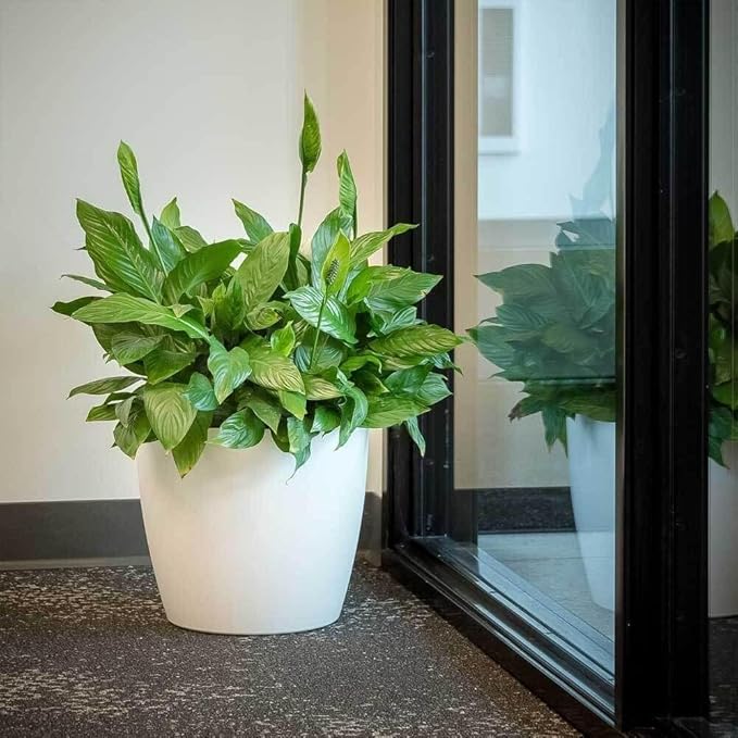 Greenline Manufacturing Memphis 13" Round Indoor Floor Planter Pot – Lightweight & Durable Plastic, Modern Design, Made in USA, Recyclable Large Plant Container for Home & Office Décor (Silver)