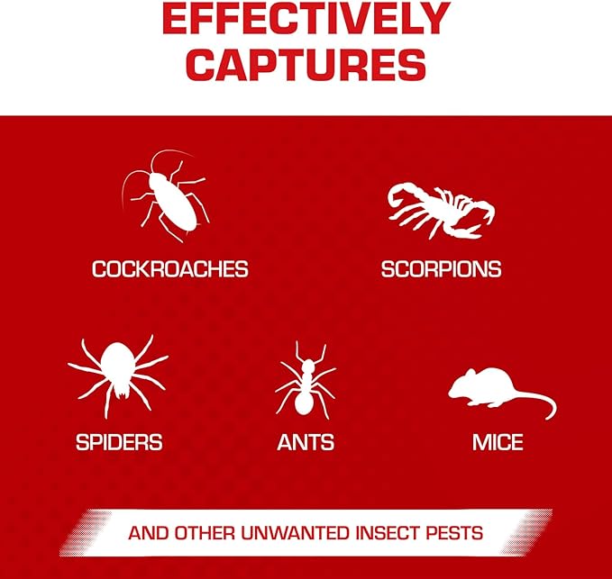 Tomcat Glue Boards with Eugenol — Enhanced Stickiness for Mice, Cockroaches & Insects, Flat or Covered Use, Ready-To-Use, 4 Traps
