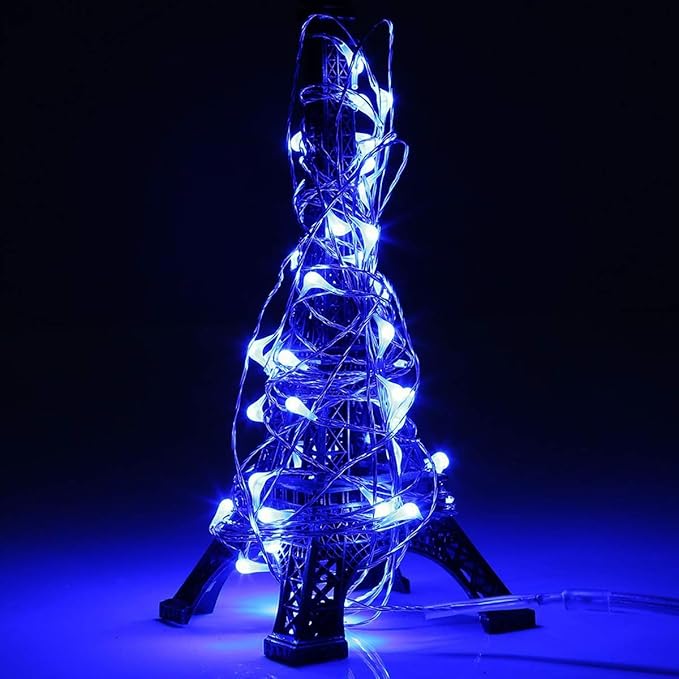 RUICHEN Silver Wire 33 Ft 100 LED USB Fairy String Lights with On/Off Switch (Blue)