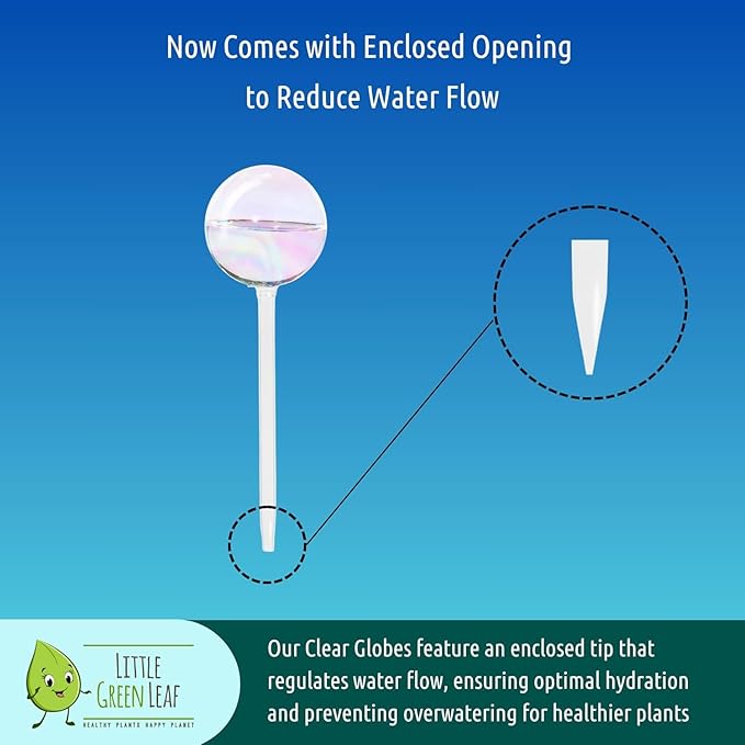 Automatic Plant Watering Globes Self Watering Planter Inserts (Set of 6) | Hands Free Clear Glass Bulbs | Planter Spikes to Support Indoor & Outdoor Plant Health (200ml)